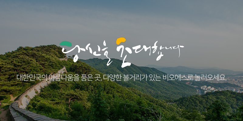 모바일 비주얼1